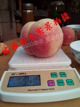 中秋節(jié)成熟的桃好品種