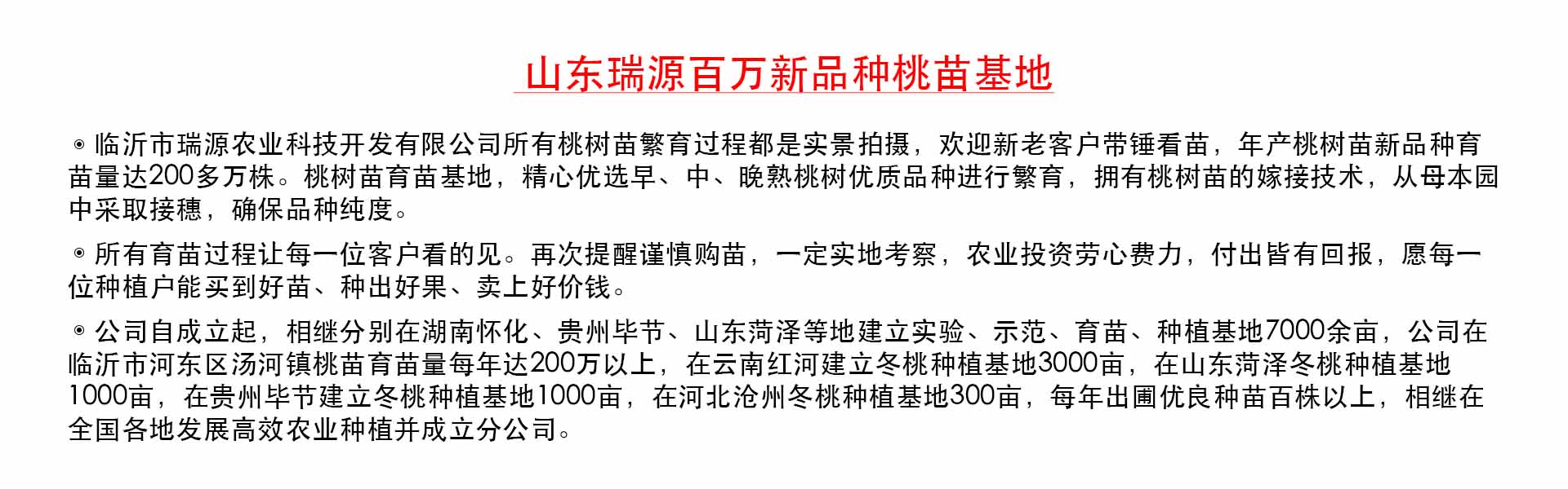 風味天后油蟠