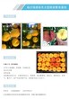 潘涛的品种好还是冬桃的品种好图片