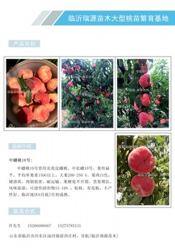 西安桃的品种