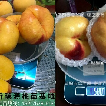 桃品种F一66一1介绍新优桃品种