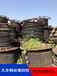 内蒙古自治区乌海港口钢丝绳回收公司