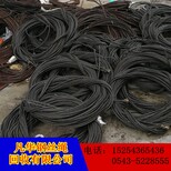 忻州闲置钢丝绳回收厂家图片1