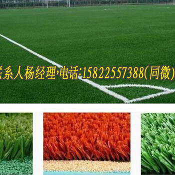 天津足球场人造草坪施工方案河西幼儿园草坪铺设