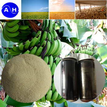 出口级肥料氨基酸螯合钙硼香蕉肥