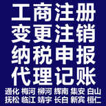 财务会计税务登记代理记账代理报税纳税申报财税疑难图片0