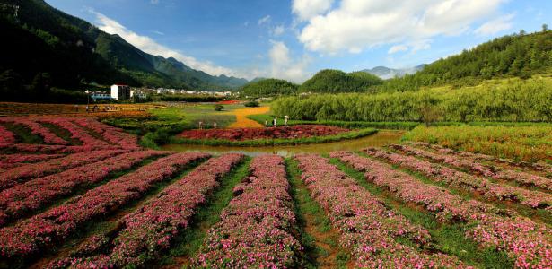 正安县写立项报告好的公司-可以写项目立项的公司