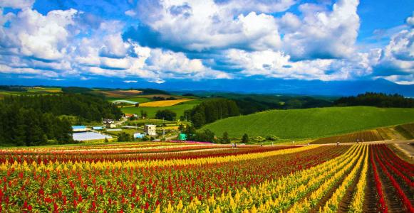 和田本地写标书多少钱？-和田有案例范文