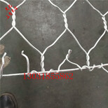 边坡防护网环形主动防护网柔性防护网厂家图片1