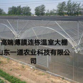 绵阳江油市恒温智能温室大棚育苗室节能温室连栋温室大棚