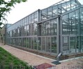 博爾塔拉溫智能溫室大棚育苗室簡易拱棚連棟溫室大棚