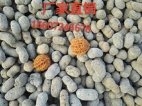 蚌埠陶粒，蚌埠建筑陶粒价格，隔热保温陶粒批发图片0