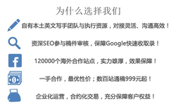 跨境电商海外推广,媒体发稿,新闻发布,软文推广,千站发稿999元图片5