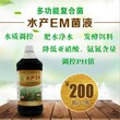 A养泥鳅节省饲料成本增加经济效益的秘诀