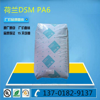 荷兰帝斯曼总代理商PA6荷兰DSM