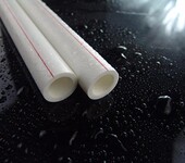 生产供应辛倍尔PP-R管材管件国标产品