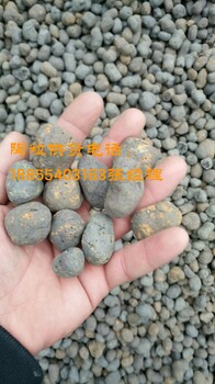 滁州陶粒，廠家供貨價(jià)格出廠價(jià)145一立方，貨到付款