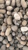 張家口陶粒生產容重超輕、河北陶粒廠高強度陶粒產品質量可靠