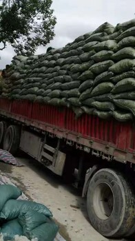 寶山建筑陶粒批發(fā)紫金陶粒廠家歡迎來電_上海陶粒建材廠