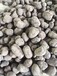 武夷山陶粒是什么材料武夷山陶粒厂透气陶粒性能如何、福建陶粒解答