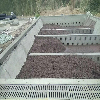 青浦魚菜共生陶粒如何正確使用方法？上海紫金陶粒廠家提供生產(chǎn)技術(shù)