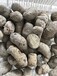 湖州陶粒建筑回填为什么选择陶粒混凝土？吴兴陶粒、浙江陶粒厂优势在哪？