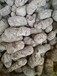 白城陶粒的性能如何分辨好壞、白城陶粒質量穩定、吉林陶粒廠質量把關