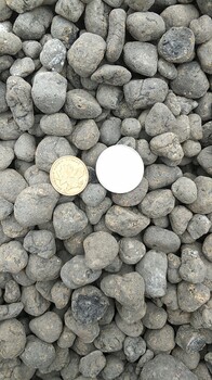 日照陶粒制品、日照陶粒外觀形態(tài)顆粒均勻、好陶粒選山東陶粒廠