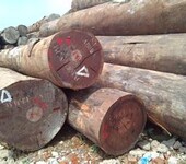 缅甸木材进口环节要注意什么问题