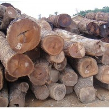 缅甸木材进口报关公司