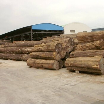 上海进口木材原木清关需要找哪家清关公司