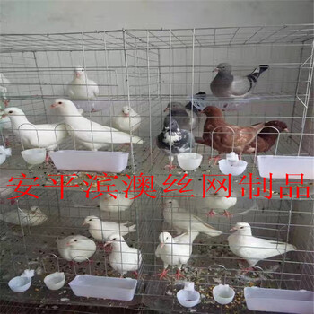 安平滨澳笼具厂生产鸽笼兔笼鸡笼运输笼宠物笼及鸽子笼配件全套价格