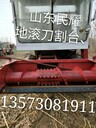 大型自走式玉米秸稈靑儲機高效能收割機收獲機民耀廠(chǎng)家