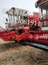 山東民耀玉米秸稈靑儲機出廠價格秸稈收割機牧草回收機