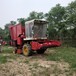 湖北高产量秸秆靑储机玉米秸秆回收机优质秸秆铡草机