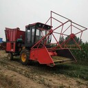湖北大型玉米秸稈靑儲(chǔ)收割機(jī)黑麥草粉碎收集機(jī)牧草回收靑儲(chǔ)機(jī)