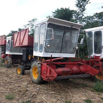 小型玉米秸秆青贮机黑麦草粉碎回收机大型皇竹草收割机