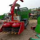 全自動(dòng)青儲(chǔ)機(jī)履帶圓盤式玉米秸稈飼料粉碎機(jī)小型儲(chǔ)青機(jī)