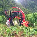 小型牽引式青儲機(jī)苜蓿草收割機(jī)皇竹草粉碎機(jī)油葵收集機(jī)現(xiàn)貨
