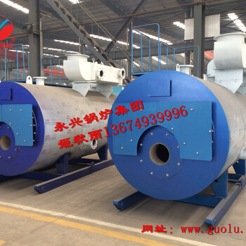 燃氣取暖熱水鍋爐安裝示意圖