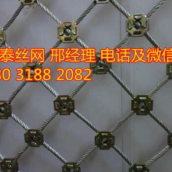 柔性防護(hù)網(wǎng)圖片