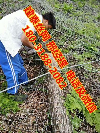 主动柔性防护网价格