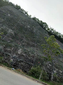 巖石主動網新疆廠家