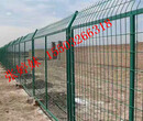 动物园隔离网仓库隔离网护栏网苏州绿化带护栏网绿色浸塑钢丝网