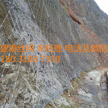 主動(dòng)式防護(hù)網(wǎng)