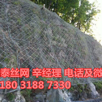 福建邊坡防護(hù)網(wǎng)