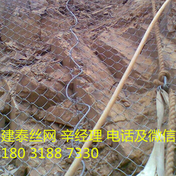 鐵路柔性防護(hù)網(wǎng)