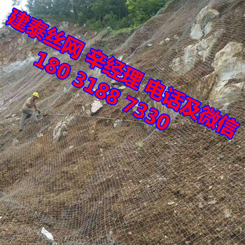 主動防護網(wǎng)生產(chǎn)廠家