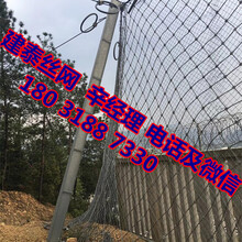 云南被動(dòng)防護(hù)網(wǎng)圖片
