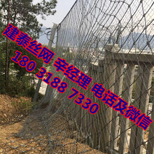 環(huán)形被動(dòng)邊坡防護(hù)網(wǎng)圖片